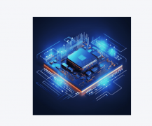 外发觉了壳的存正在 