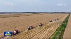 人工智能取保守融合进一步加快